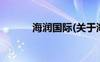 海润国际(关于海润国际的简介)