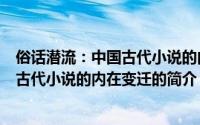 俗话潜流：中国古代小说的内在变迁（关于俗话潜流：中国古代小说的内在变迁的简介）