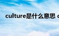 culture是什么意思 culture怎么读音英语