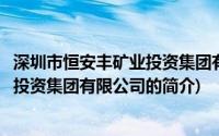 深圳市恒安丰矿业投资集团有限公司(关于深圳市恒安丰矿业投资集团有限公司的简介)