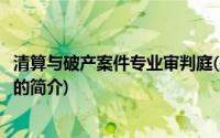清算与破产案件专业审判庭(关于清算与破产案件专业审判庭的简介)