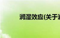润湿效应(关于润湿效应的简介)