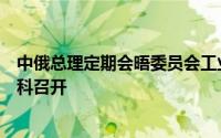 中俄总理定期会晤委员会工业合作分委会第九次会议在莫斯科召开