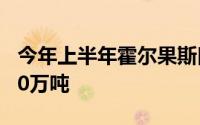 今年上半年霍尔果斯口岸进出口货运量超2000万吨
