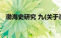 渤海史研究 九(关于渤海史研究 九的简介)