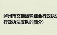 泸州市交通运输综合行政执法支队(关于泸州市交通运输综合行政执法支队的简介)