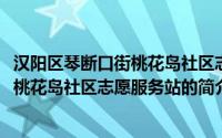 汉阳区琴断口街桃花岛社区志愿服务站(关于汉阳区琴断口街桃花岛社区志愿服务站的简介)