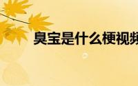 臭宝是什么梗视频 臭宝是什么意思