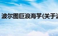 波尔图巨浪海芋(关于波尔图巨浪海芋的简介)