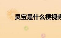 臭宝是什么梗视频 臭宝是什么意思