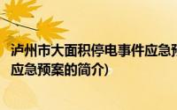 泸州市大面积停电事件应急预案(关于泸州市大面积停电事件应急预案的简介)