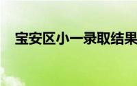 宝安区小一录取结果查询入口及录取办法