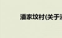 潘家坟村(关于潘家坟村的简介)