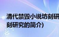 清代禁毁小说坊刻研究(关于清代禁毁小说坊刻研究的简介)