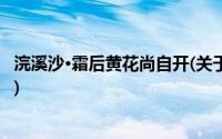 浣溪沙·霜后黄花尚自开(关于浣溪沙·霜后黄花尚自开的简介)