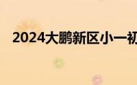 2024大鹏新区小一初一录取结果公布时间