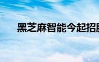 黑芝麻智能今起招股 入场费3061港元