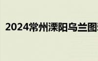 2024常州溧阳乌兰图雅演唱会座位表(高清)