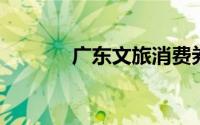 广东文旅消费券可以加油用吗