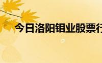 今日洛阳钼业股票行情(2024年8月1日)
