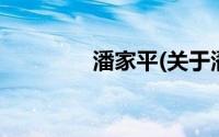 潘家平(关于潘家平的简介)