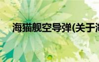 海猫舰空导弹(关于海猫舰空导弹的简介)
