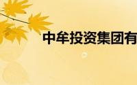 中牟投资集团有限公司招聘程序