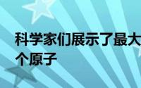 科学家们展示了最大的量子模拟器之一 有51个原子