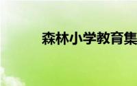 森林小学教育集团招聘语文教师