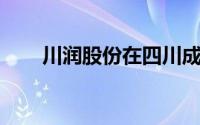 川润股份在四川成立新能源开发公司