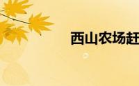 西山农场赶集是星期几