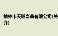 榆林市天鹏畜禽有限公司(关于榆林市天鹏畜禽有限公司的简介)
