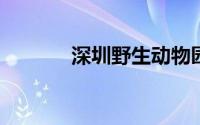 深圳野生动物园门票多少一张