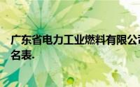 广东省电力工业燃料有限公司新能源分公司社会公开招聘报名表.