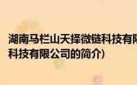 湖南马栏山天择微链科技有限公司(关于湖南马栏山天择微链科技有限公司的简介)