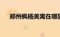 郑州枫杨美寓在哪里申请？附申请入口