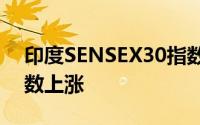 印度SENSEX30指数收盘涨0.18%成分股多数上涨