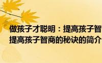 做孩子才聪明：提高孩子智商的秘诀（关于做孩子才聪明：提高孩子智商的秘诀的简介）