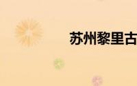 苏州黎里古镇游船票价