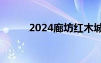 2024廊坊红木城仲夏夜市灯光秀