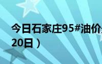 今日石家庄95#油价最新消息（2024年08月20日）