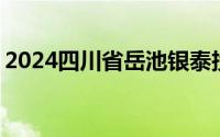 2024四川省岳池银泰投资 控股有限公司招聘