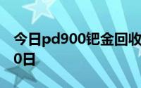 今日pd900钯金回收价格查询 2024年08月20日