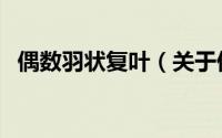偶数羽状复叶（关于偶数羽状复叶的简介）