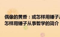 偶像的黄昏：或怎样用锤子从事哲学（关于偶像的黄昏：或怎样用锤子从事哲学的简介）