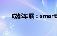 成都车展：smart精灵#5丛林之境版