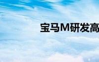 宝马M研发高级副总裁专访