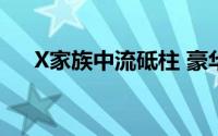 X家族中流砥柱 豪华中型SAV的引领者