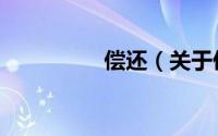 偿还（关于偿还的简介）
