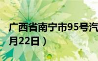 广西省南宁市95号汽油价格查询（2024年08月22日）